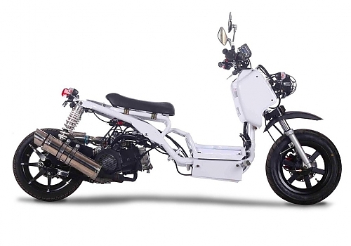 Ice Bear Maddog 150cc and 50cc